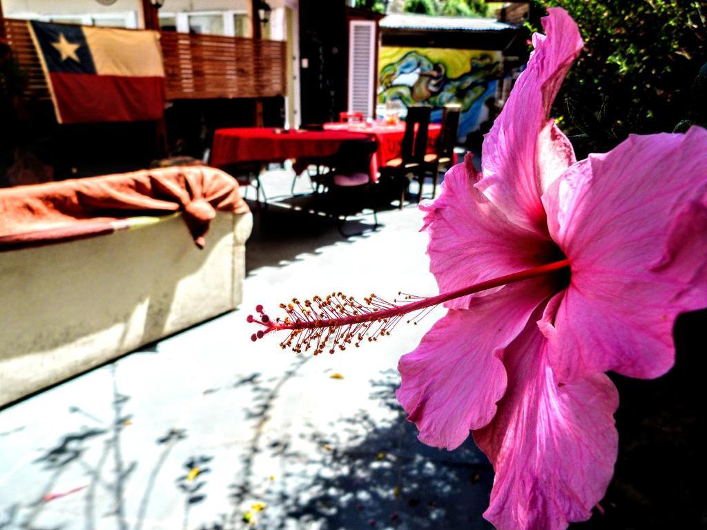 La Casa Piola Hostel Valparaiso